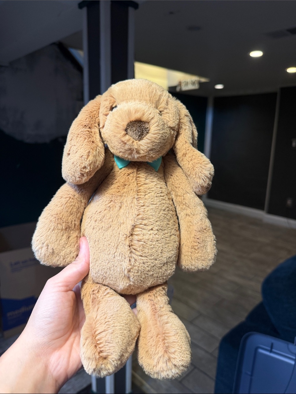 BNWT Toffee Puppy Jellycat